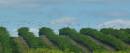 p1030854resizedwebsitehero.jpg