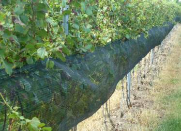 Coverplas Tuffgard Permanent Side Panel Nets In Application  &raquo; Click to zoom ->