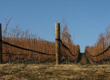 Coverplas Tuffgard Permanent Side Panel Nets Rolled  &raquo; Click to zoom ->