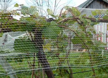 Coverplas SideGard Side Panel Net 14mm (5/8') square mesh  &raquo; Click to zoom ->