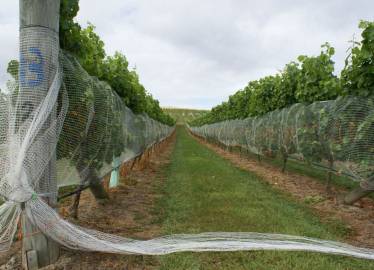 Coverplas SideGard Side Panel Net In Application  &raquo; Click to zoom ->