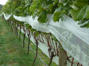 Coverplas Duragard Permanent Side Panel Nets Easy To Work With. Lift And Work With One Side As Required   » Click to zoom ->